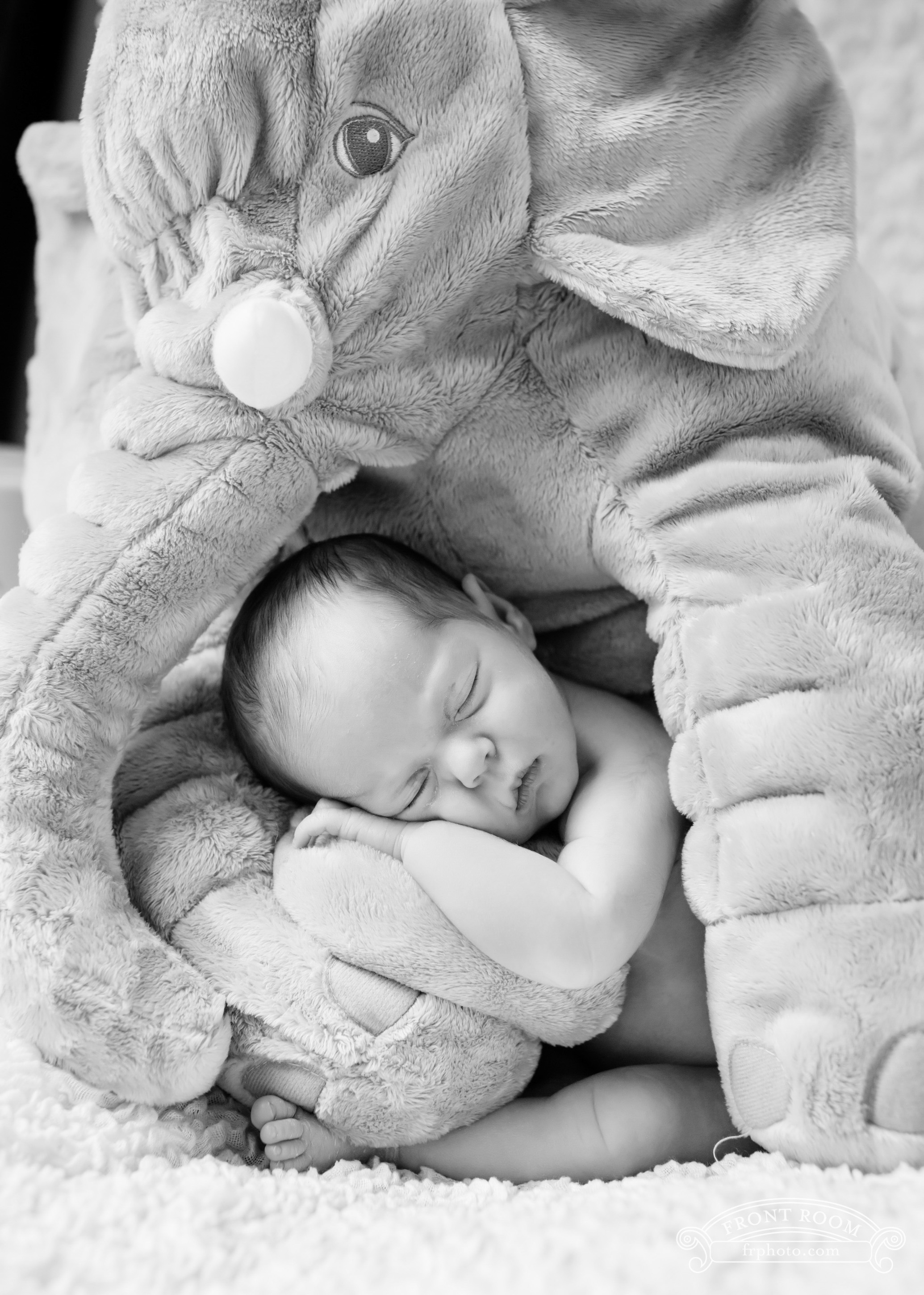 newborn baby with oversized stuffed elephant